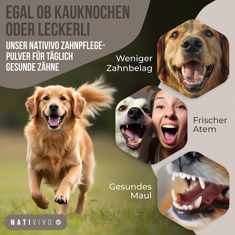 Egal ob Kauknochen oder Leckerli Unser Nativivo Zahnpflege Pulver für täglich gesunde Zähne
