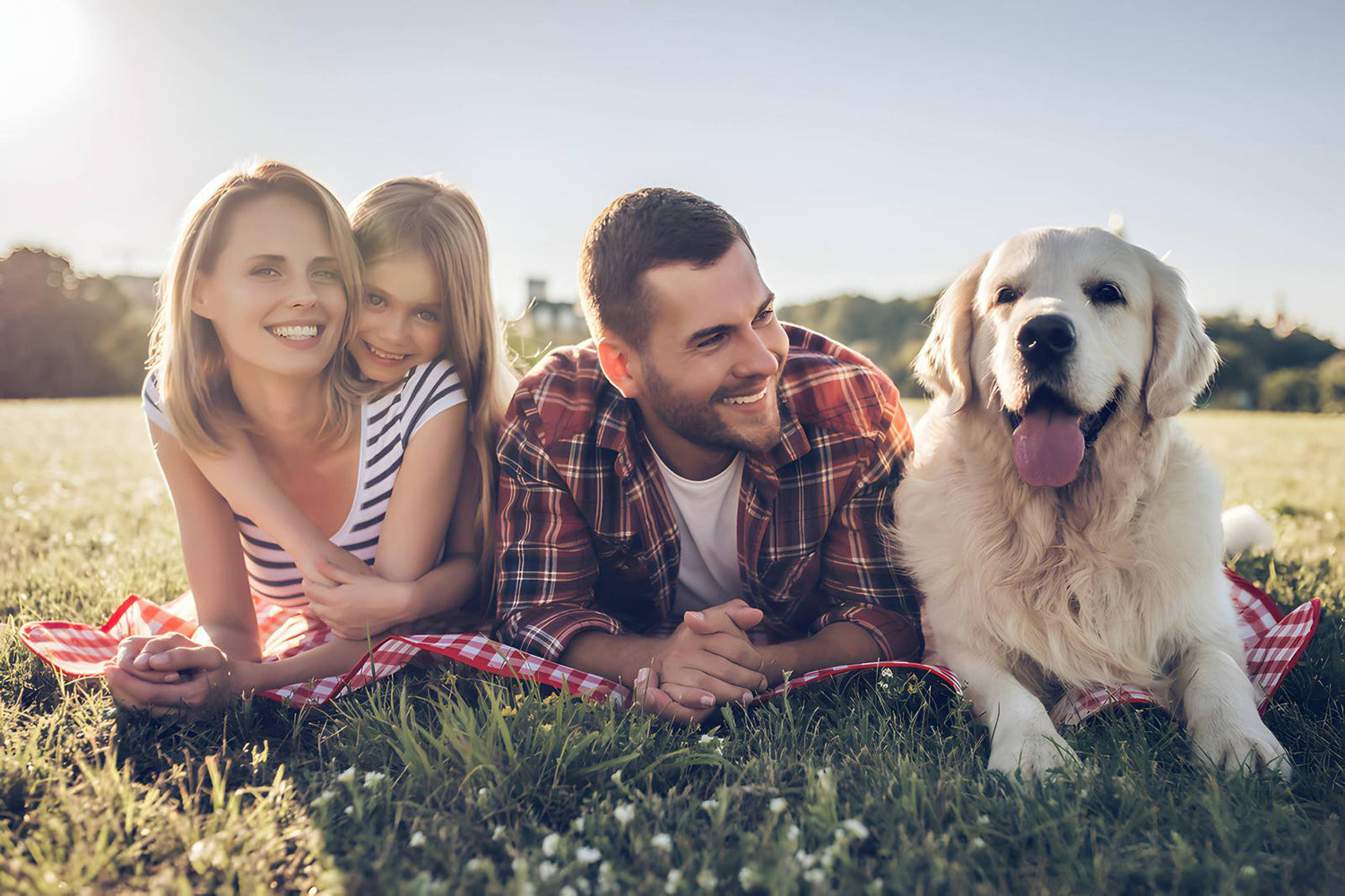 Eine Familie mit einem Hund liegend auf einer Wiese