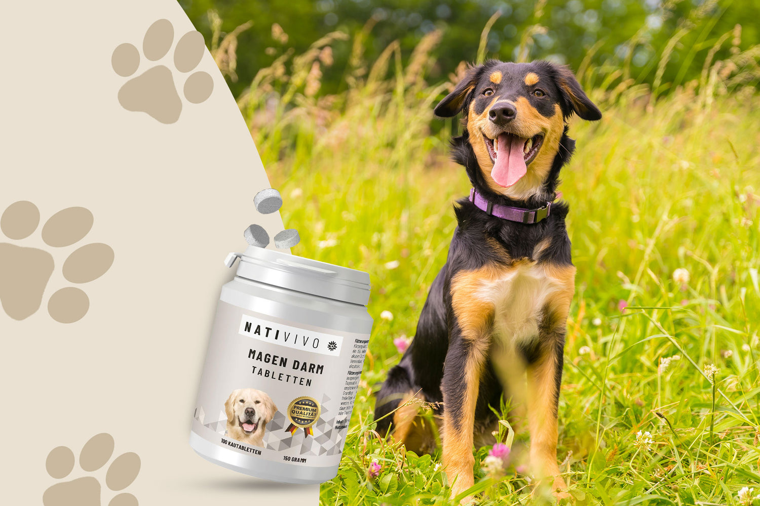 Glücklicher Hund und auf der linken Seite die Magen Darm Tabletten