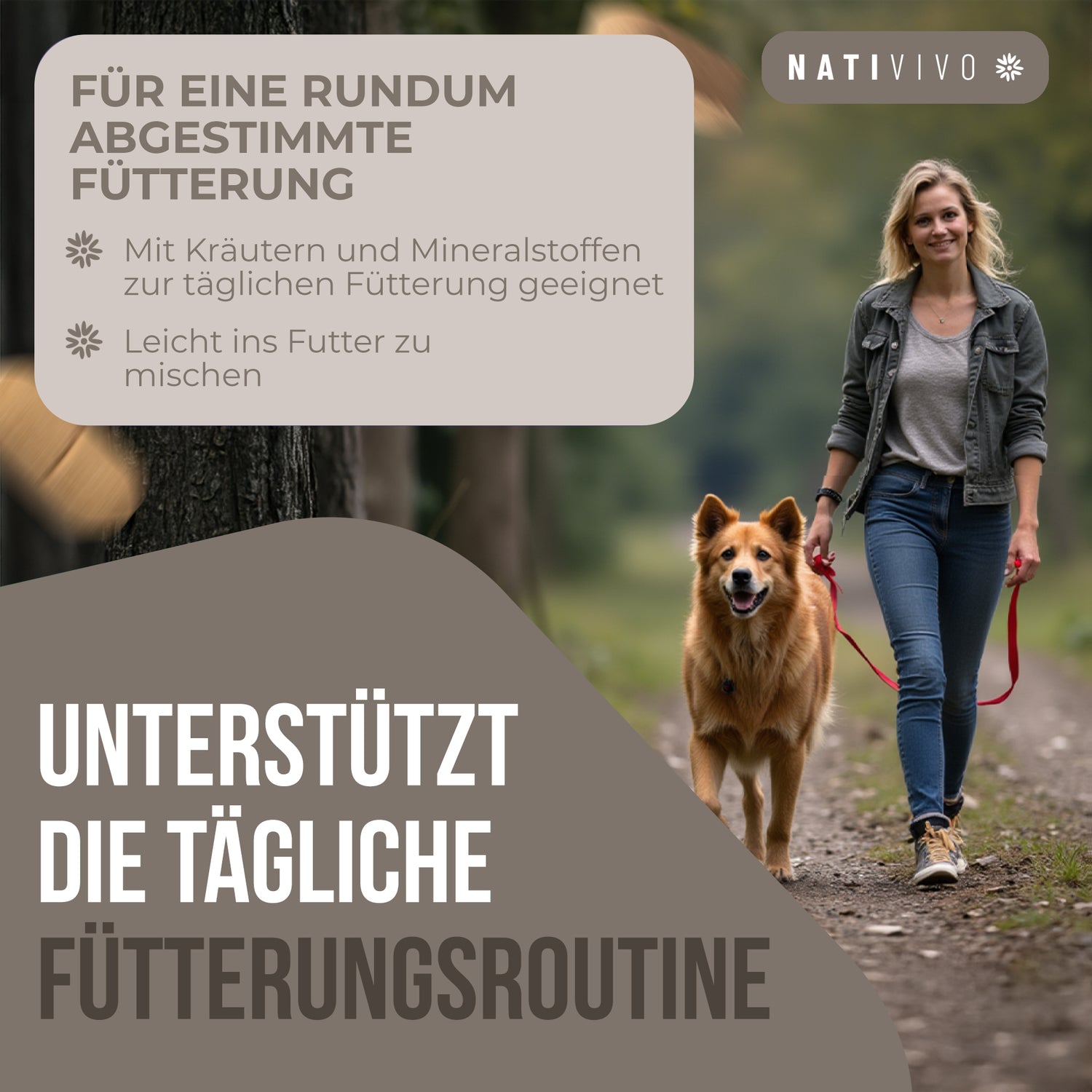 NatiVivo Gras und Kotfresser Drops Alternative Dia Tab für Hunde Probiotika Hund unterstützt bei Gras & Kotfressen, Sodbrennen, Durchfall und Erbrechen – Diatabs für Hunde 100 Tabletten