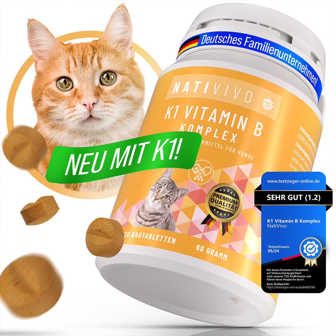 Premium Katzen K1 Vitamin B Komplex hochdosiert inklusive B12 und Folsäure