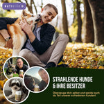 Strahlende Hunde & ihre Besitzer
