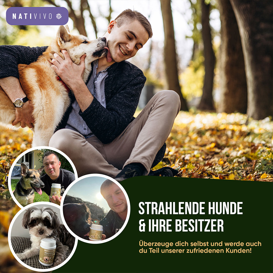 Strahlende Hunde & ihre Besitzer
