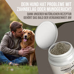 Dein Hund hat Probleme mit Zahnbelag oder Mundgeruch