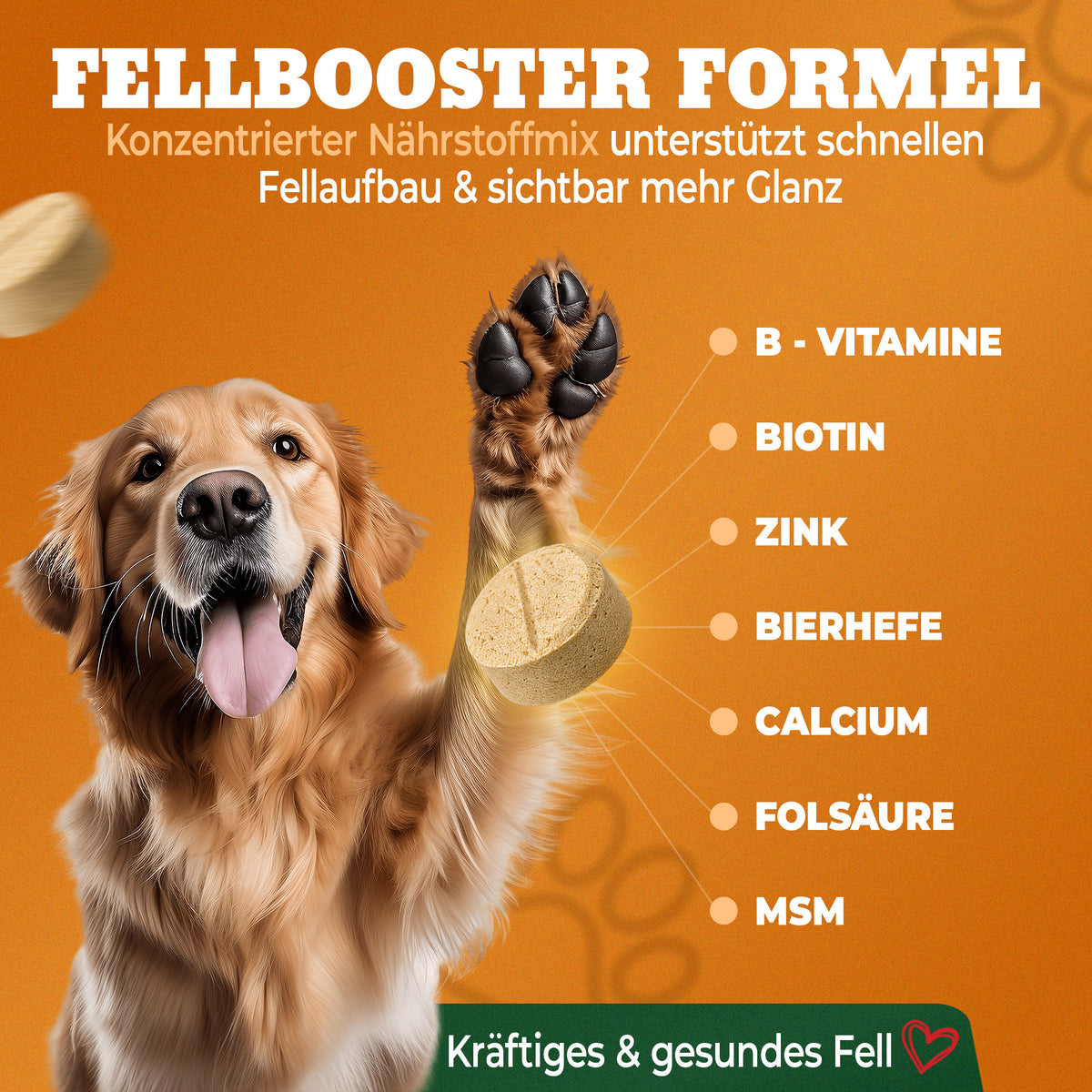 hochdosiertes Premium Biotin+Zink Hund Komplex Tablettten oder Pulver