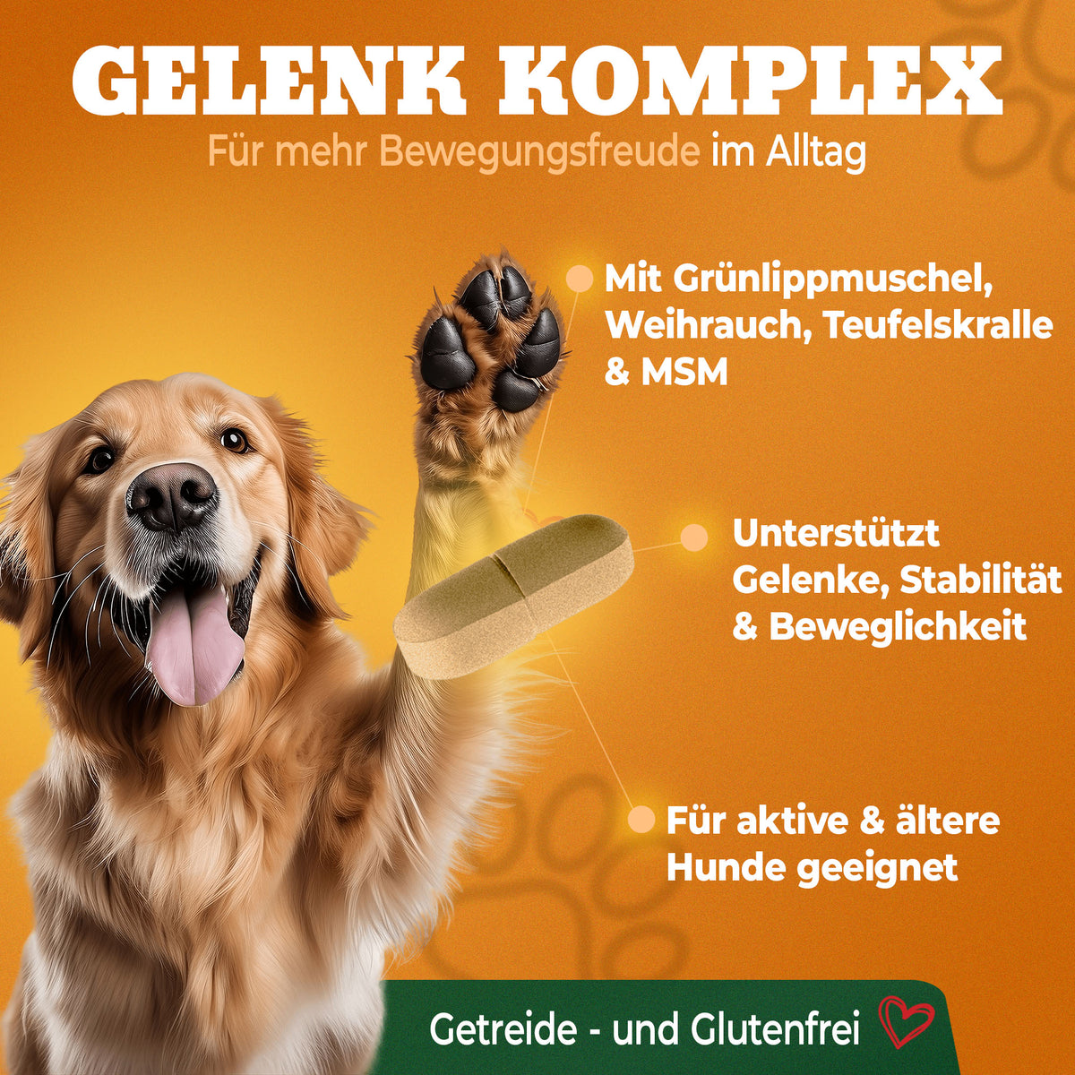 Hunde Gelenktabletten Grünlippmuschel Gelenkkomplex