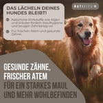 Gesunde Zähne Frischer Atem für ein starkes Maul und mehr Wohlbefinden