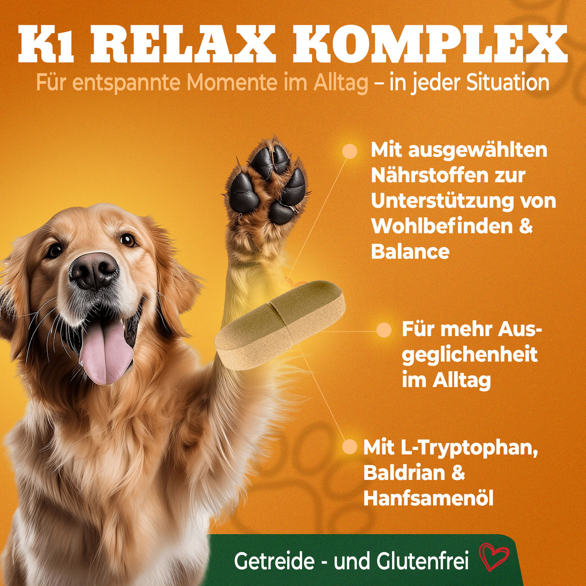 NatiVivo Premium Hunde Relax Komplex – mit Baldrian, Hanfsamenöl & natürlichen Inhaltsstoffen - Unterstützt Ruhe, Gelassenheit & Ausgeglichenheit im Alltag