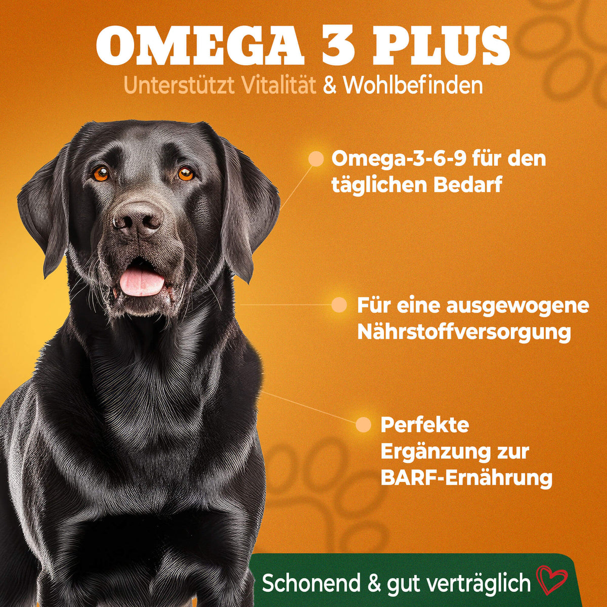 Premium Omega 3 Plus 3-6-9 Hunde Barföl