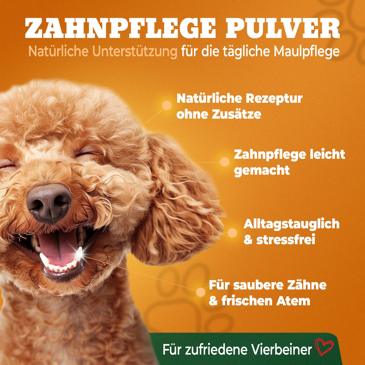 Zahnpflege Zahnpulver Hund unterstützend bei Zahnstein und Mundgeruch