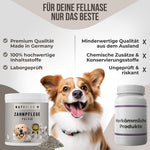 Zahnpflege Pulver im Vergleich zu herkömmlichen Produkte