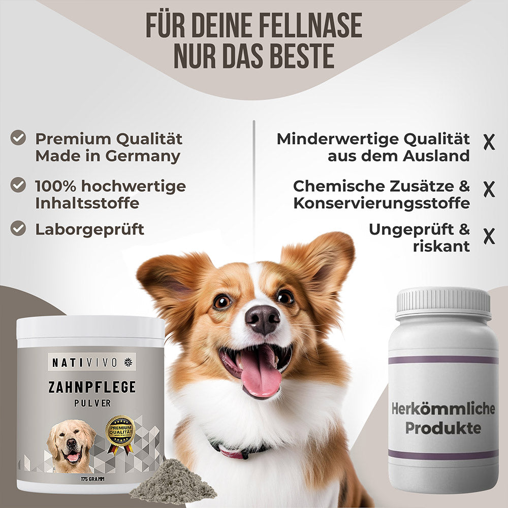 Zahnpflege Pulver im Vergleich zu herkömmlichen Produkte